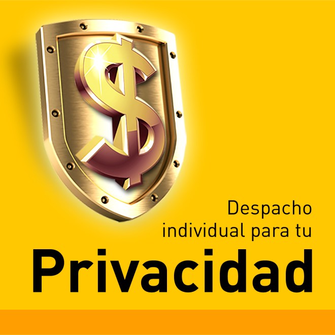 Seguridad y provacidad
